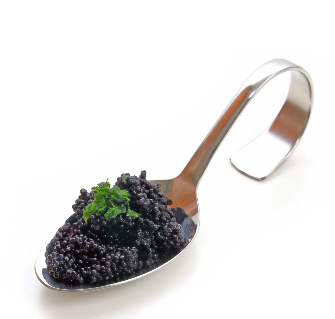 Hair Lingerie ONLY Oil (1 Bottle)