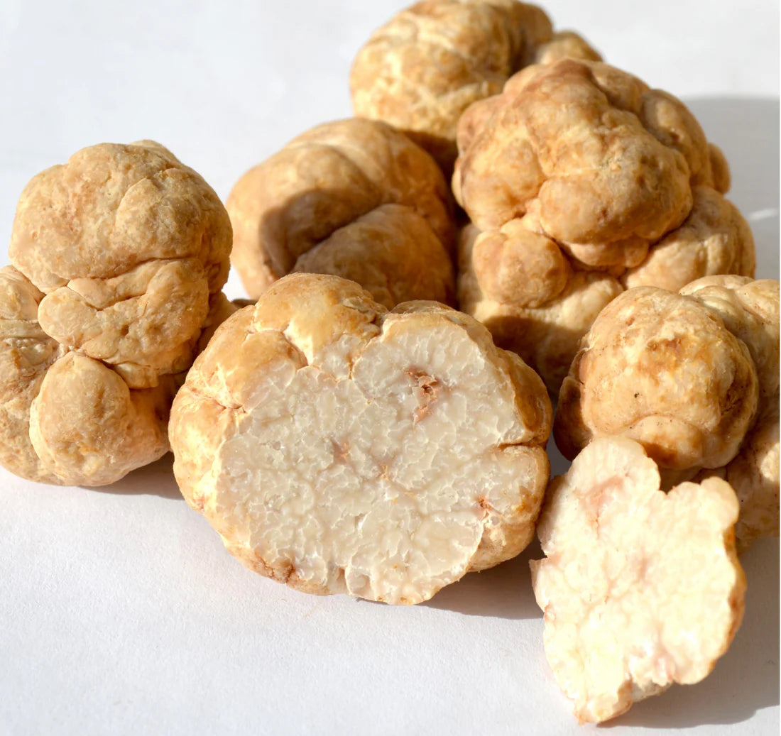 Hair Lingerie ONLY Oil (1 Bottle)